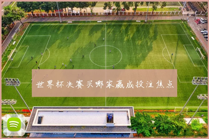 世界杯决赛买哪家赢成投注焦点