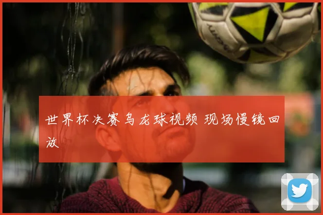 世界杯决赛乌龙球视频 现场慢镜回放