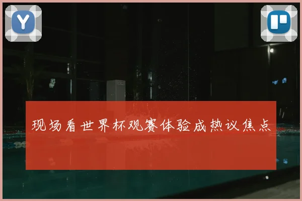 现场看世界杯观赛体验成热议焦点