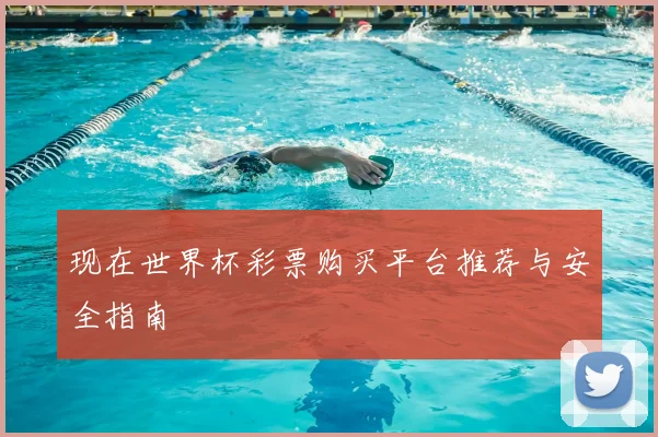 现在世界杯彩票购买平台推荐与安全指南