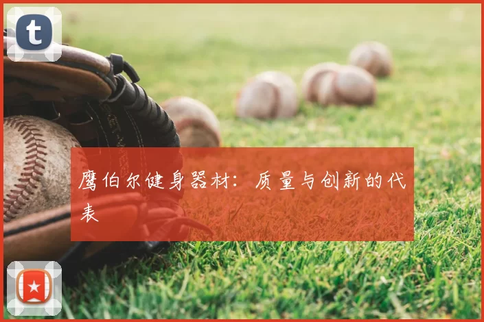 鹰伯尔健身器材：质量与创新的代表