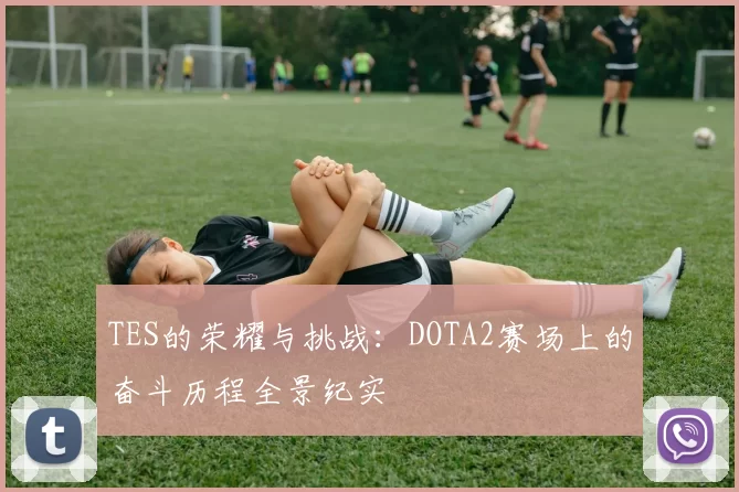 TES的荣耀与挑战：DOTA2赛场上的奋斗历程全景纪实