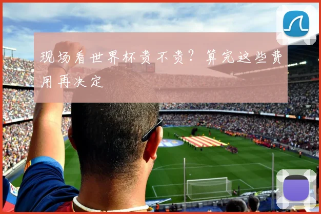 现场看世界杯贵不贵？算完这些费用再决定
