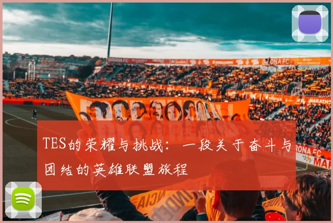 TES的荣耀与挑战：一段关于奋斗与团结的英雄联盟旅程