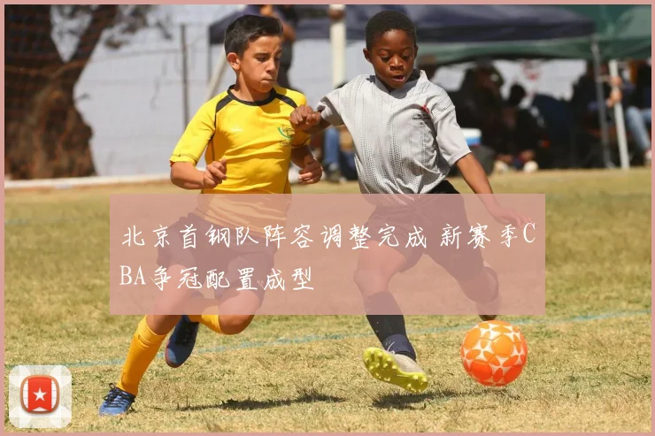 北京首钢队阵容调整完成 新赛季CBA争冠配置成型