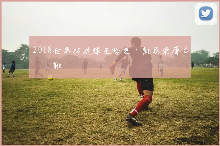 2018世界杯进球王哈里·凯恩荣膺金靴